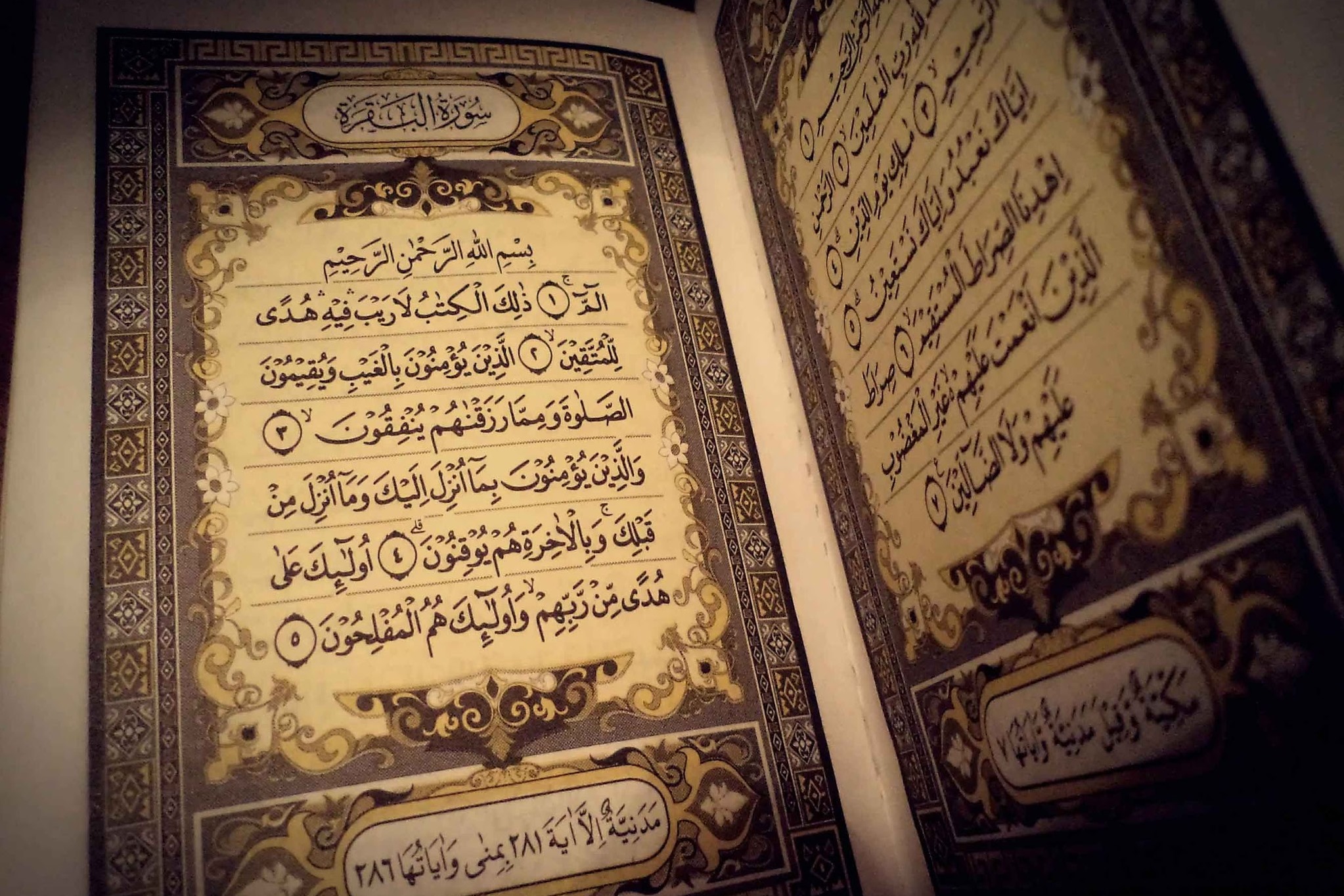 La Luce del Corano-Esegesi del Sacro Corano,vol 1 - Parte 16 - Sura Al-Bagharah - versetto 40
