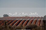 العقل هو مصدر كلِّ الفضائل