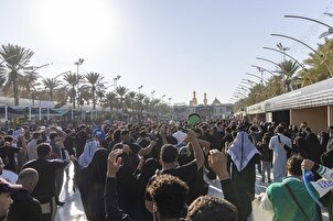 تقرير مصور | المواكب العزائية تحيي ذكرى شهادة السيدة الزهراء (ع) في كربلاء