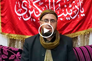 قضية الإمام الحسين (ع) ليست قضية شخصية أو سياسية + فيديو