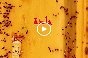بالفيديو....الفيلم الوثائقي "جادة" يروي مسير زوّار الإمام الحسين (ع)