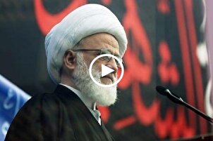 المرجع اليعقوبي: إستراتيجية العدو في حربه مع المسلمين هي الحرب الناعمة