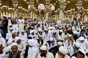 تقرير مصور | المسجد النبوي.. روضة من الجنة