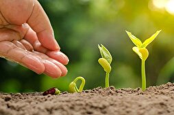 مَنْ طالَ عُمْرُهُ فُجِعَ بِأَحْبابِهِ