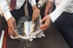 Fanatik yəhudilər Quranları yandırdılar