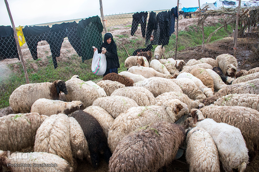 نیازهای پساسیل مردم چیست؟