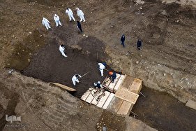 جزیره هارت؛ محل دفن هزاران آمریکایی