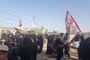 زائران پیاده حسین(ع) در مسیر نجف به کربلا + عکس و فیلم
