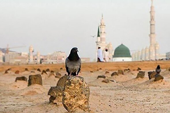 پادکست | الگوی بندگی