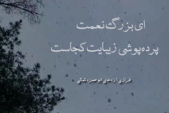 استوری موشن | پرده‌پوشی زیبایت کجاست