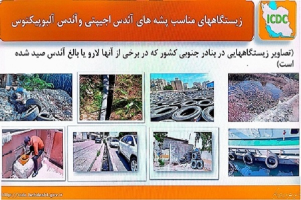 همه‌گیری آئدس در کشور در صورت اهمال دستگاه‌ها