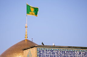 استوری‌موشن | دوستی و خویشاوندی