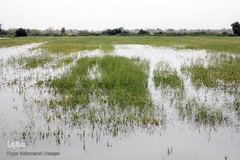 تخلیه روستاهای در معرض سیل در خوزستان 
