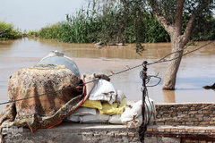  در پی وقوع سیلاب در استان خوزستان، روستاهای بخش بامدژ دچار سیل شدند. 