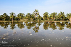 سیلاب در روستاهای غزاویه