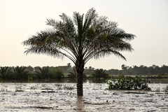 سیلاب در روستاهای غزاویه