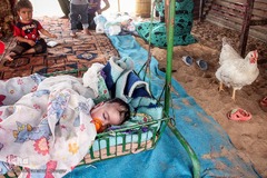 آخرین وضعیت سیل زدگان 