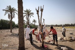 قربانی در عید قربان 