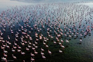 Lac Maharloo, un paysage pittoresque du sud-ouest de l'Iran