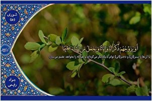 फ़िल्म | "जवाद रफ़ीई" द्वारा पाठ का एक अंश