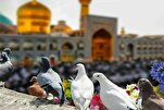 3,500 na mga Boluntaryo ng Red Crescent ang Naglilingkod sa mga Peregrino sa Mashhad