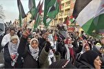 Поддержка большинства немцев создания палестинского государства