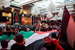 Поддержка иракским религиозным авторитетом кампании...